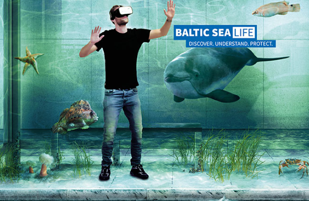 Marine life of the Baltic Sea
